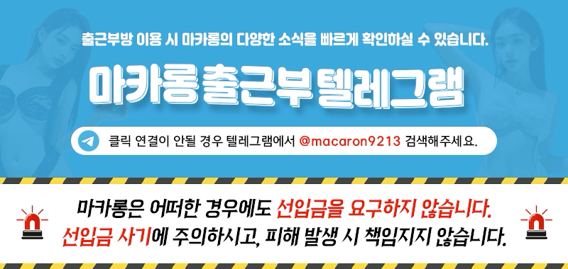 마카롱 대표 이미지